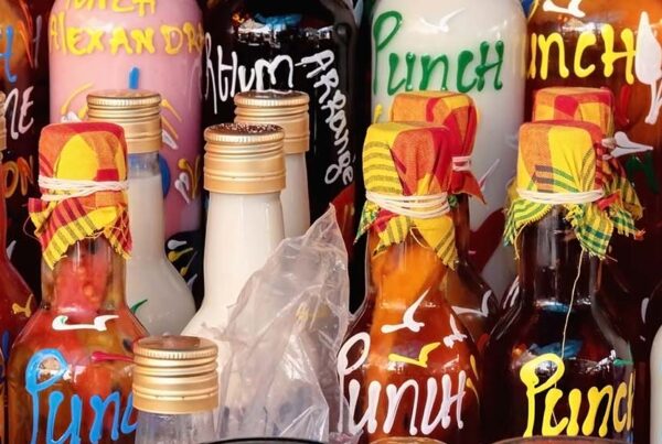 circuit dégustation rhum martinique