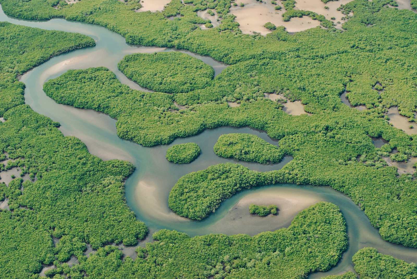 Dakar – Sine-Saloum en famille : ce que la nouvelle autoroute a changé, et ce qu’elle n’a pas changé